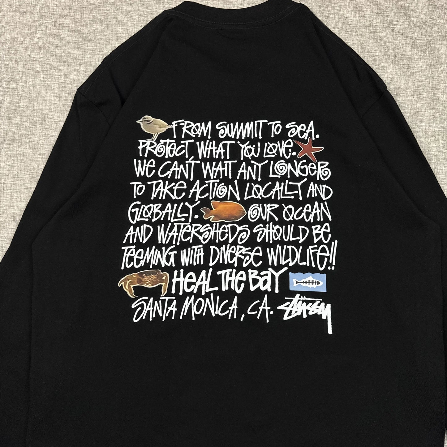 Stussy Heal The Bay Long Sleeve