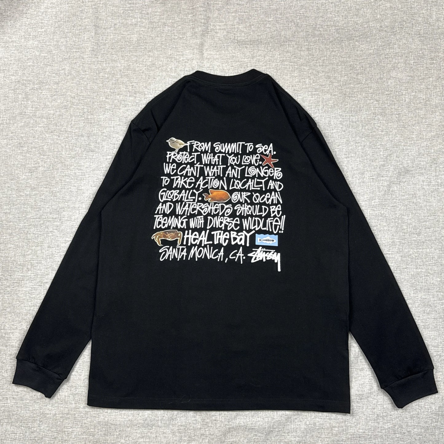 Stussy Heal The Bay Long Sleeve