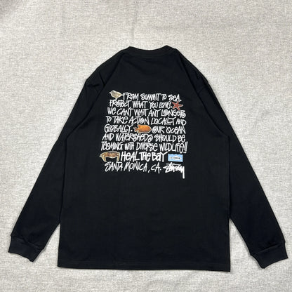 Stussy Heal The Bay Long Sleeve